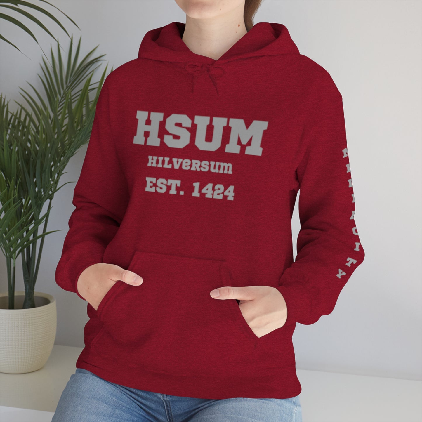 HILVERSUM 1424 -  Heavy Blend™ Unisex Hooded Sweatshirt