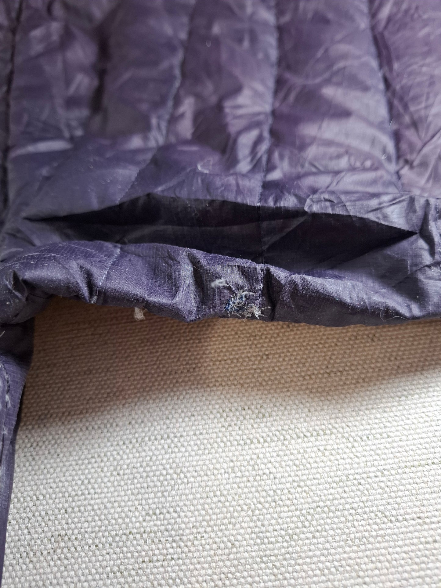 001429 – Patagonia Jacket – Purple, Size XL