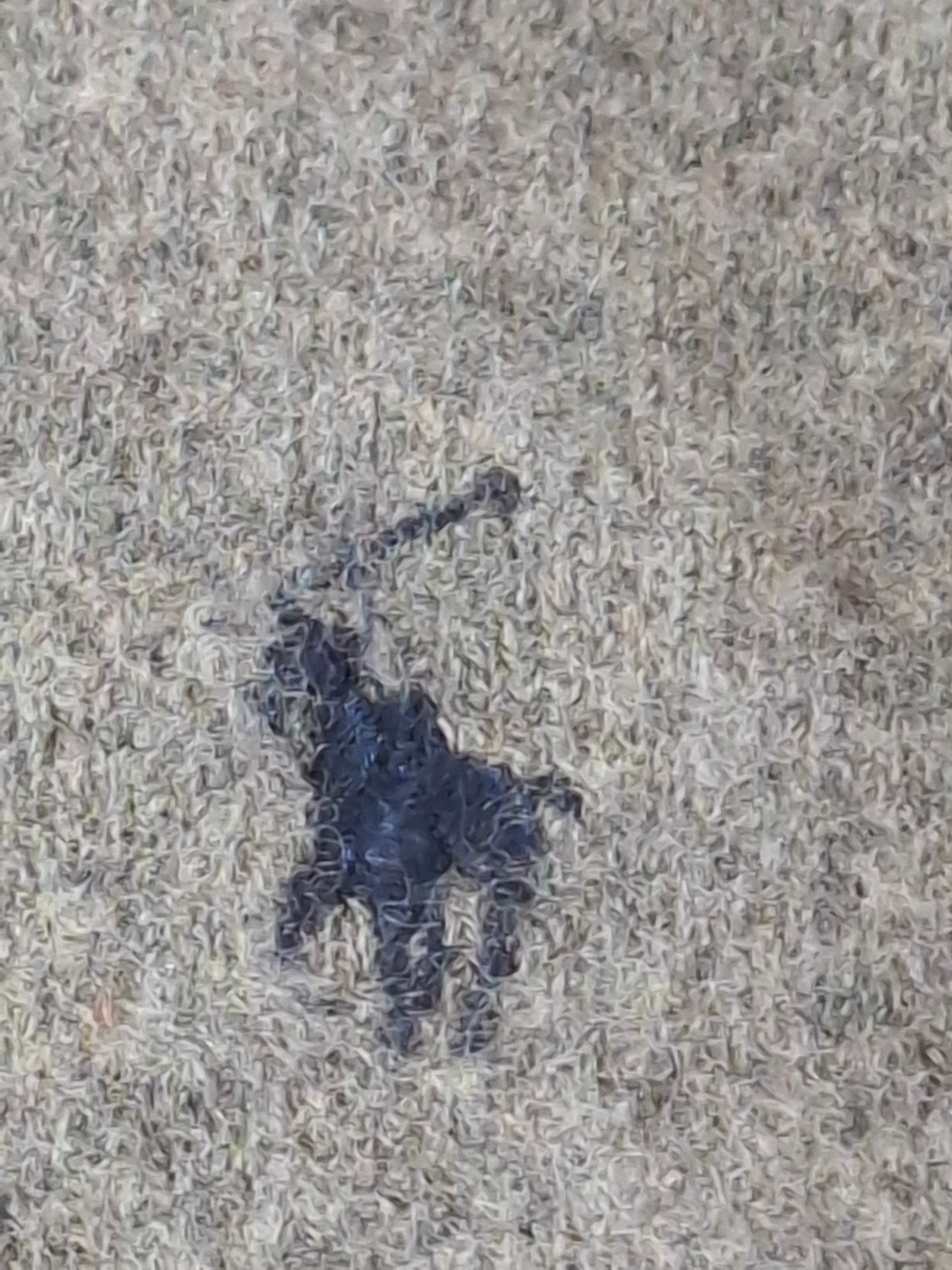 000496 Polo Ralph Lauren 1/4 zip sweater size S Grey Merino